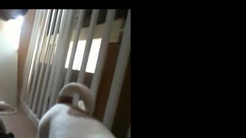 10mm_socket online show from 02-11-26, 06:07