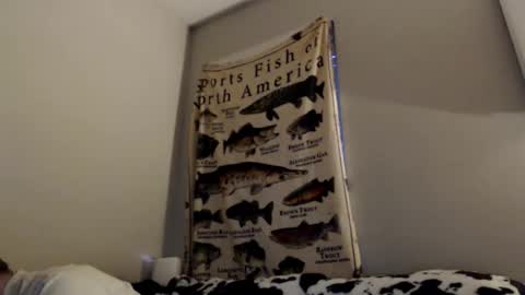 Snapshot of 18str8igcock chatting on 11-01-25, 10:56 18str8igcock online show from 11-01-25, 10:56