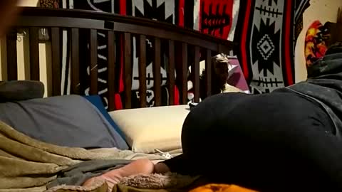 1knightluver69 online show from 04-05-26, 08:44