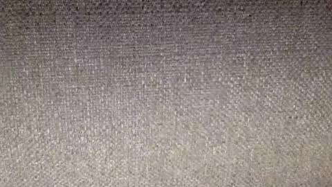 30nick online show from 02-12-26, 07:25