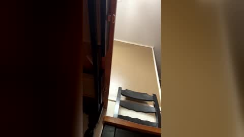 33adidas online show from 01-09-26, 09:12