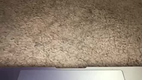 3dging_sub online show from 03-13-26, 03:24