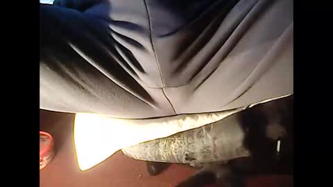 Snapshot of 4guy200 chatting on 11-23-25, 12:10 4guy200 online show from 11-23-25, 12:10