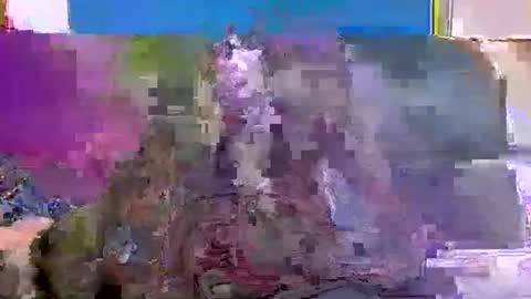 4nuf online show from 01-15-25, 07:48