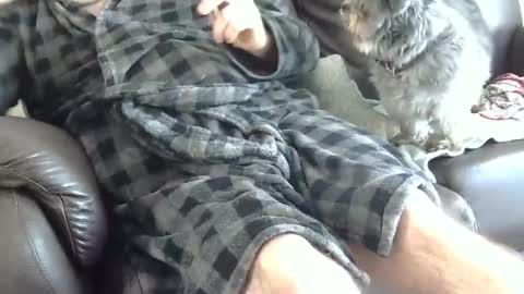 Snapshot of 66bear chatting on 12-25-24, 04:43 66bear online show from 12-25-24, 04:43