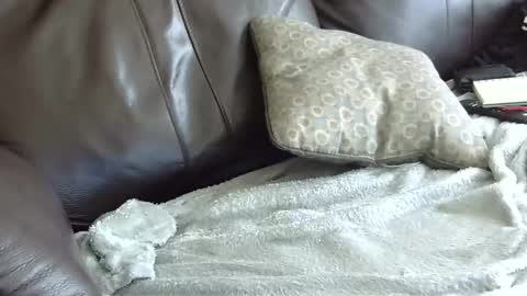 Snapshot of 66bear chatting on 01-31-25, 06:57 66bear online show from 01-31-25, 06:57