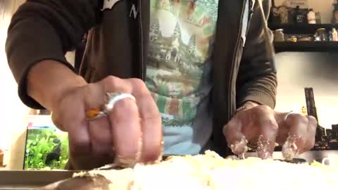 6990fiko online show from 02-01-25, 05:47