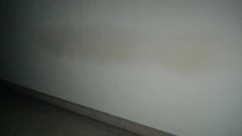 69___pas online show from 12-12-24, 07:52