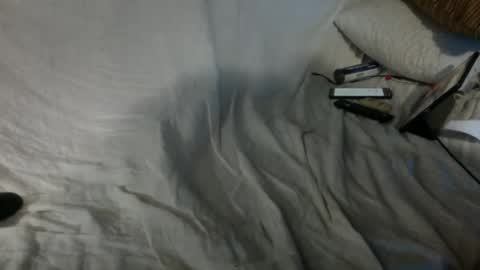 Snapshot of 69ass_tastic chatting on 01-29-25, 06:33 Chris online show from 01-29-25, 06:33