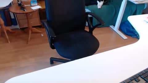 69pifpaf online show from 11-22-25, 08:57