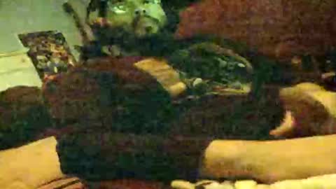 6instraighter7 online show from 11-03-25, 11:55