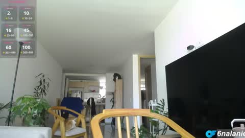 6nalanie online show from 07-28-26, 06:53