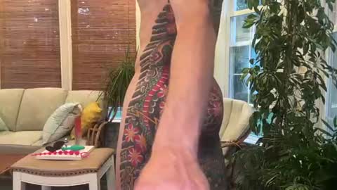 Jake online show from 08-09-26, 11:42