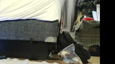 8inchcock917 online show from 06-18-26, 07:18