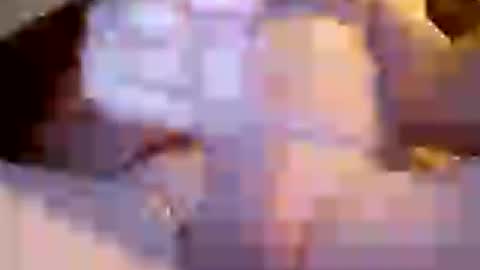 Snapshot of 8x_larry_x8 chatting on 07-05-26, 04:36 Invictus hornydad online show from 07-05-26, 04:36