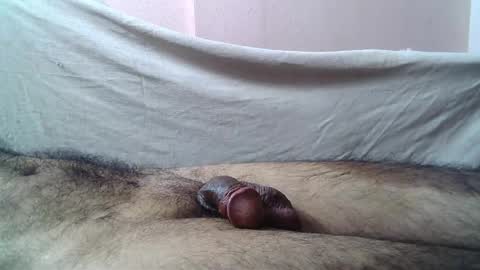 Snapshot of 9_incher_83 chatting on 05-15-26, 10:50 Massive hungry cock online show from 05-15-26, 10:50
