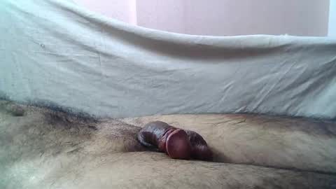 Snapshot of 9_incher_83 chatting on 05-15-26, 11:34 Massive hungry cock online show from 05-15-26, 11:34
