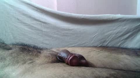 Snapshot of 9_incher_83 chatting on 05-15-26, 11:45 Massive hungry cock online show from 05-15-26, 11:45