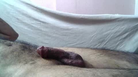 Snapshot of 9_incher_83 chatting on 05-16-26, 12:18 Massive hungry cock online show from 05-16-26, 12:18