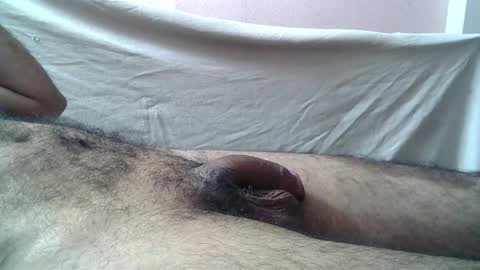 Snapshot of 9_incher_83 chatting on 05-23-26, 01:11 Massive hungry cock online show from 05-23-26, 01:11