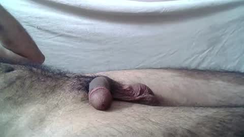 Massive hungry cock online show from 06-11-26, 06:50