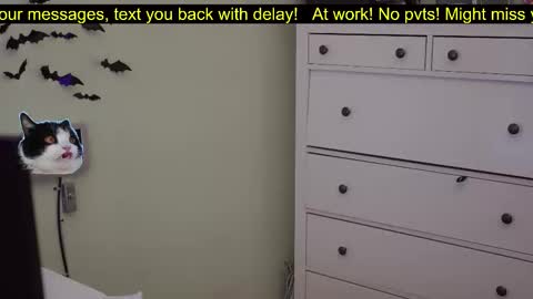 _3x7_ online show from 10-07-25, 06:16