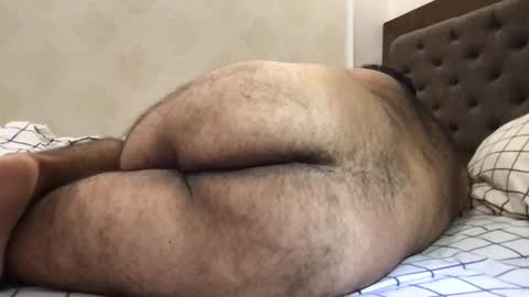 Snapshot of _alan_bear_ chatting on 05-19-26, 06:47 Alan online show from 05-19-26, 06:47