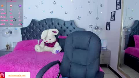 Snapshot of _antonnela_ chatting on 02-11-25, 01:20 antonnela online show from 02-11-25, 01:20