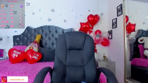 Snapshot of _antonnela_ chatting on 02-17-25, 04:37 antonnela online show from 02-17-25, 04:37