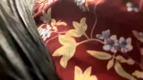 Snapshot of _catalina_linda_ok chatting on 10-26-25, 06:41 _catalina_linda_ok online show from 10-26-25, 06:41