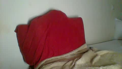 Snapshot of _clara01 chatting on 01-30-25, 11:02 clara online show from 01-30-25, 11:02