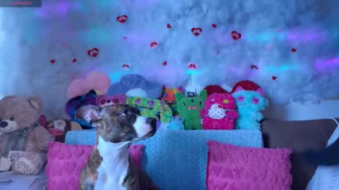 Kate online show from 03-07-26, 09:06