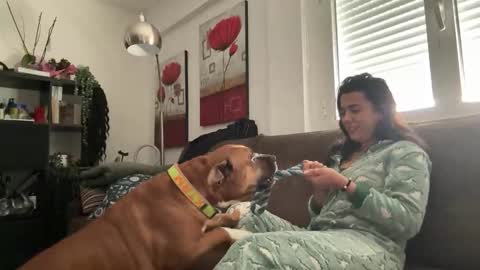 Snapshot of _elena_barra chatting on 11-29-25, 12:41 elena barra online show from 11-29-25, 12:41