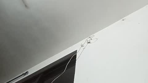 _iluvatar_ online show from 02-26-26, 04:55