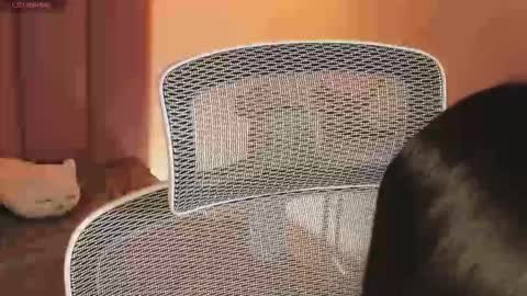 Snapshot of _kata chatting on 12-20-25, 11:28 _kata online show from 12-20-25, 11:28