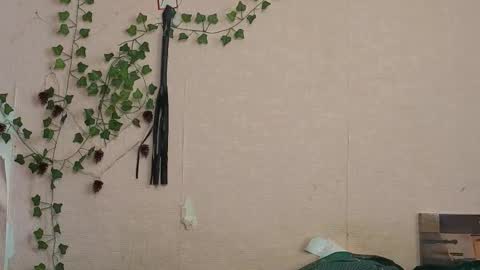 _kikiclark_ online show from 02-27-26, 09:20