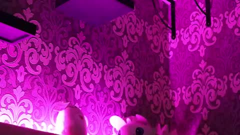 Stream  at  am in MoscowI am waiting for you very much3 online show from 02-23-25, 11:47