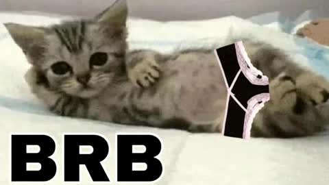 miko3 online show from 03-31-26, 09:48