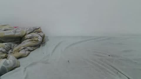 Snapshot of _sweetberry95 chatting on 12-09-24, 06:35 Talia online show from 12-09-24, 06:35