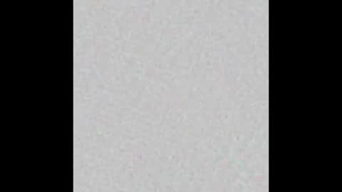 _tammarra_ online show from 02-14-25, 02:54