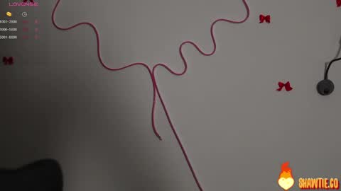 Snapshot of _taylor_swift chatting on 02-15-25, 09:38 Taylor online show from 02-15-25, 09:38