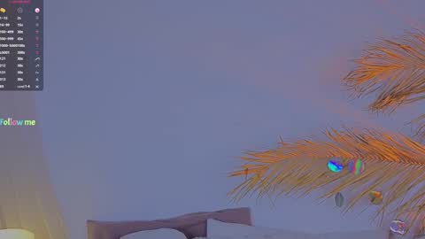 Ally online show from 02-12-25, 03:27