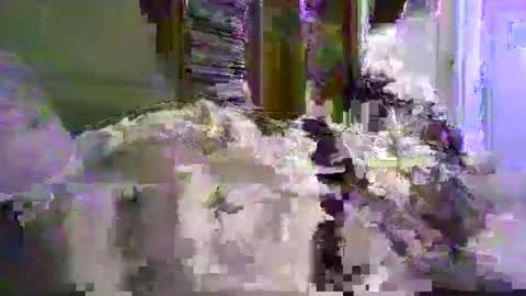 a203530 online show from 01-08-26, 10:23