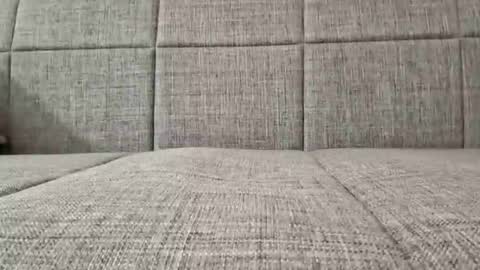 XXL online show from 04-19-26, 07:05