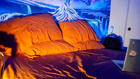 a_bad_guy_duh online show from 02-09-26, 10:19