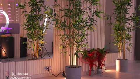 Alexa online show from 02-03-25, 09:52