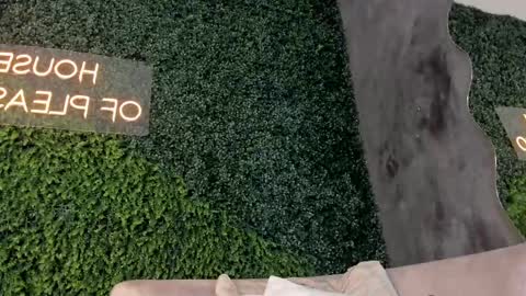 A B B Y online show from 02-15-25, 02:44