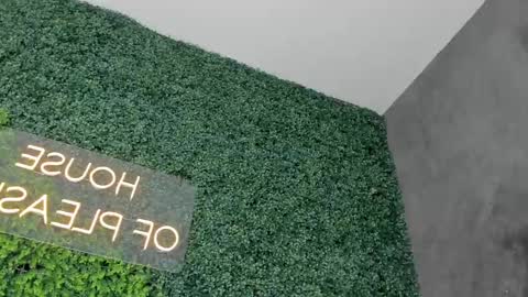 A B B Y online show from 02-26-25, 06:21