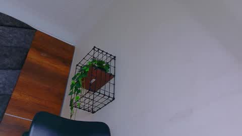 A B B Y online show from 01-08-26, 11:34