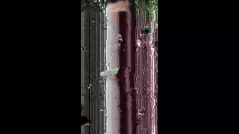 abdulwaris7072 online show from 03-15-26, 06:41